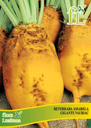 beterraba amarilla vauriac 100g