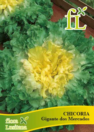 Chicória Gigante Hortelana 10g