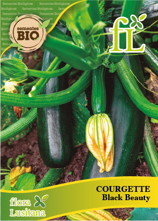 courgette black beauty bio *fl* pt-bio-10