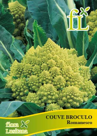 couve flor romanesco natalino 5g