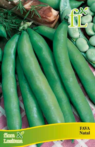 FAVA EXTRA PRECOCE A GRANO BIANCO 100g