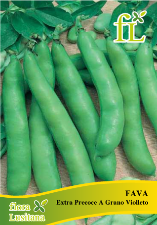 fava extra precoce a grano violetto 100g