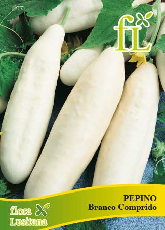 Semente de pepino branco 10gr Luso Sementes