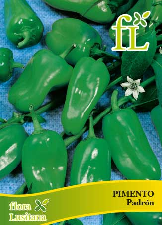 PIMENTO PADRON *FL*