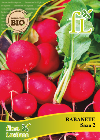 rabanete saxa 2 bio *fl* pt-bio-10