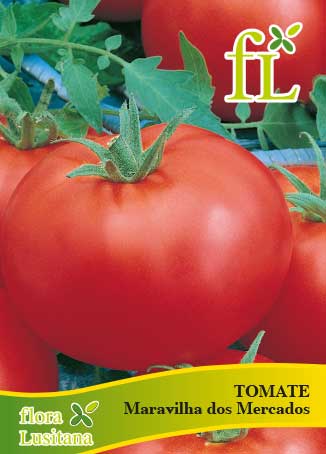 TOMATE CAMPBELL 33 - 5g