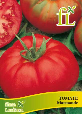 TOMATE MARMANDE 5 Grs