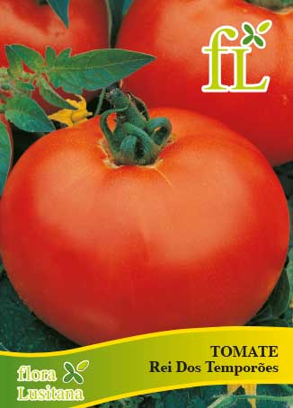 tomate reine des hâtives *fl*