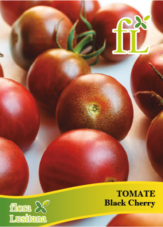 tomate black cherry *fl*