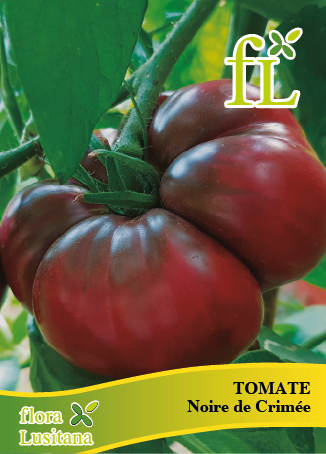 TOMATE NOIRE DE CREMÉE *FL*