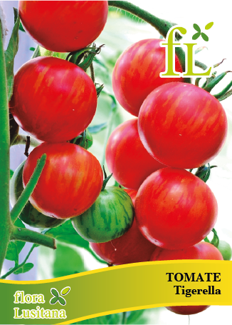 TOMATE TIGERELLA *FL*