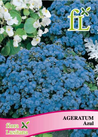 AGERATUM AZUL *FL*