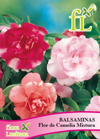 BALSAMINAS FLOR CAMELIA MISTURA *FL*