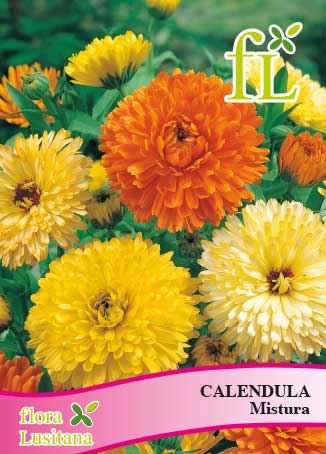 calendula mistura *fl*