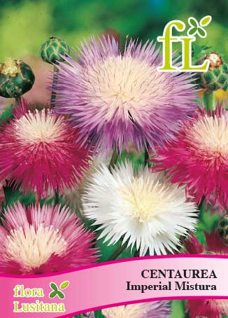 CENTAUREA IMPERIAL MISTURA *FL*