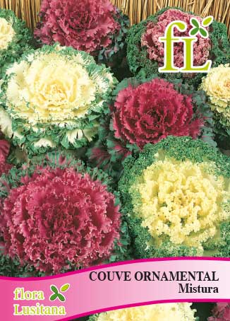 COUVE ORNAMENTAL MISTURA*FL*