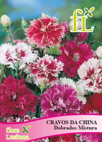 Sementes FL Cravo índia Dobrados Anão Mistura - Sementes - Frutas & Legumes  - Frescos - Produtos - Supermercado Apolónia