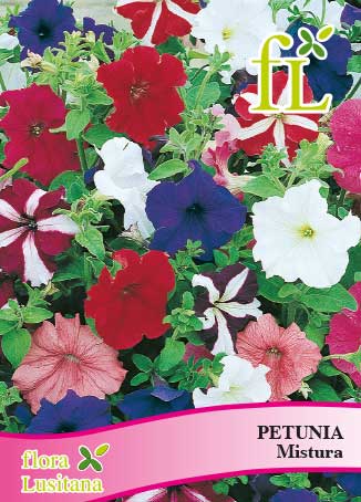 PETUNIA HIBRIDA MISTURA *FL*