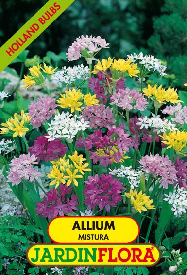 ALLIUM MISTURA S/15