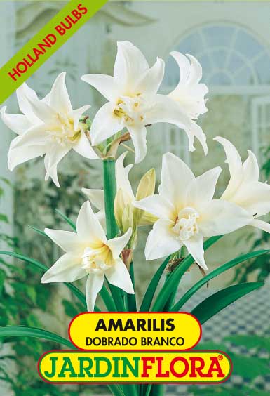 AMARILIS DOBRADO BRANCO C/1