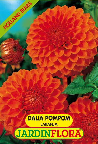 Dalia Pompom Bantling S/1