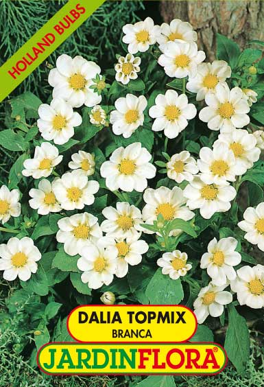 DALIA TOPMIX BRANCA C/1