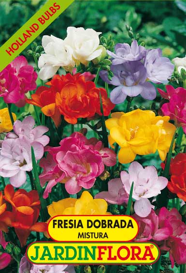 FRESIAS DOBRADAS MISTURA S/10