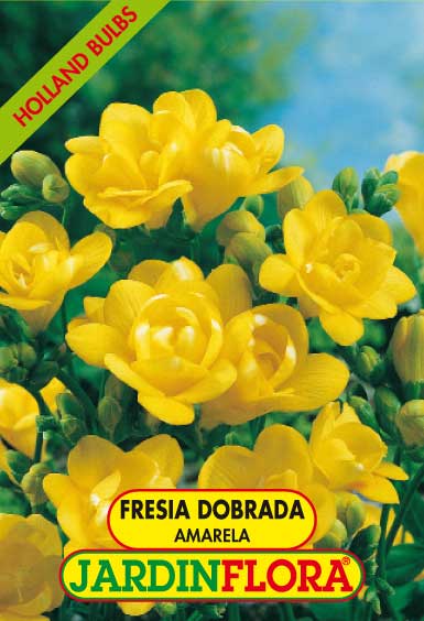 Frésia Dobrada Amarela S/10