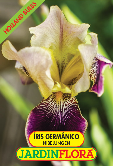 Iris Germanico Nibelungen C/1