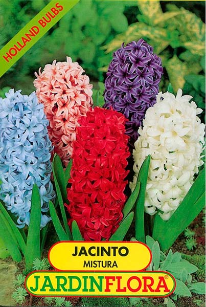 JACINTOS MISTURA S/3