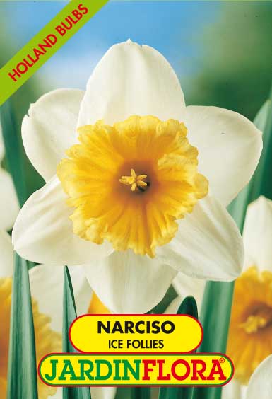 NARCISO ICE FOLIES S/4