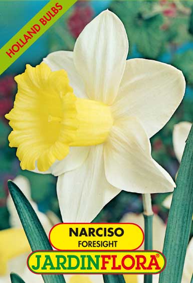 NARCISO FORESIGHT S/4