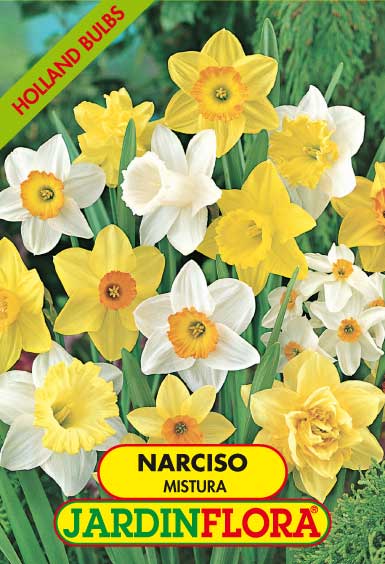 NARCISO MISTURA S/4