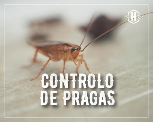 Controlo de Pragas