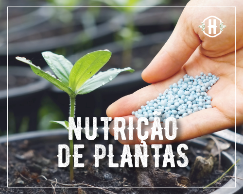 Nutrição de Plantas