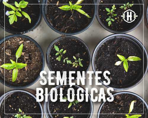 Sementes Biológicas