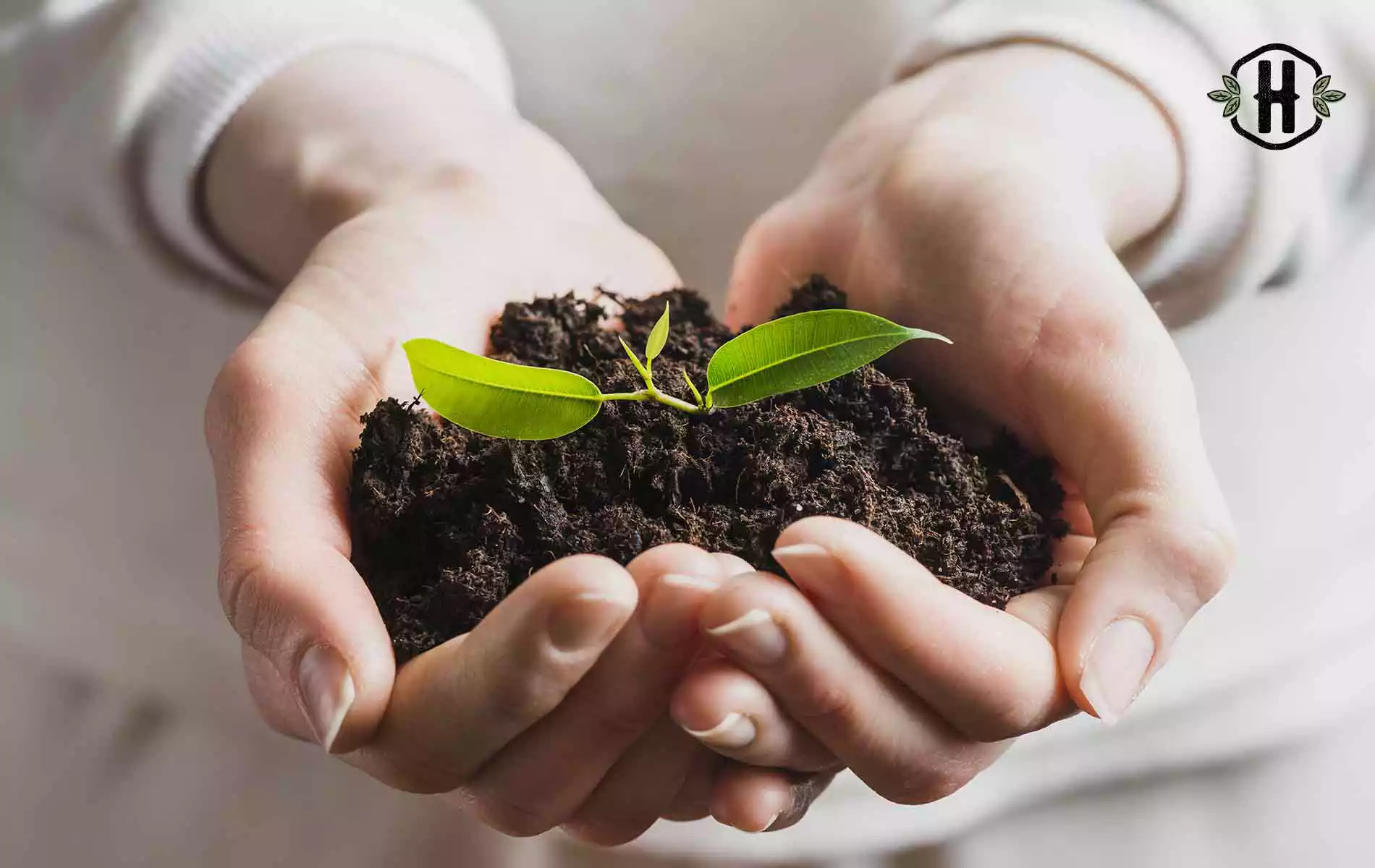 Conheça os benefícios que a jardinagem e a horticultura trazem à saúde mental