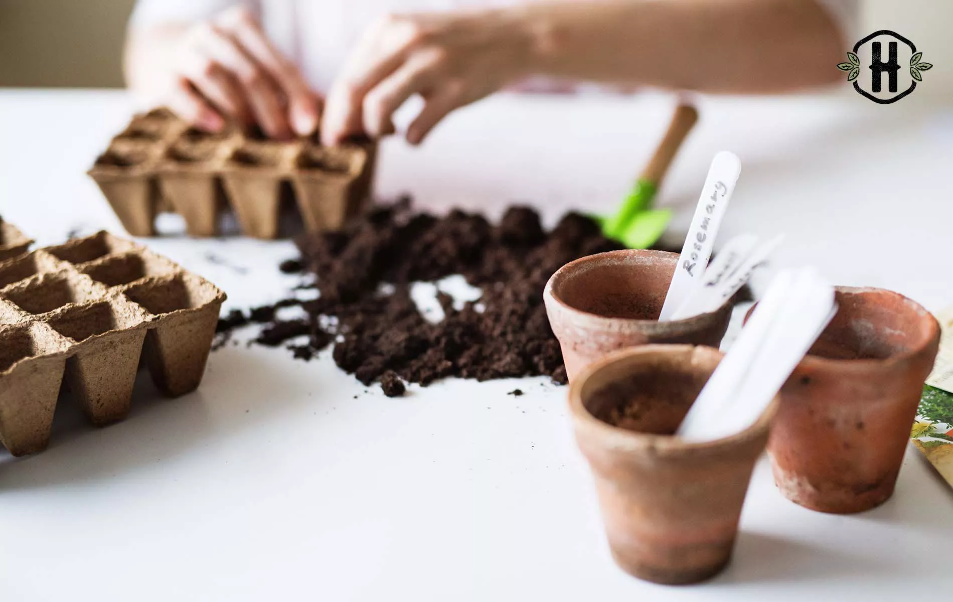 Quero ter uma horta em casa: o que devo saber?